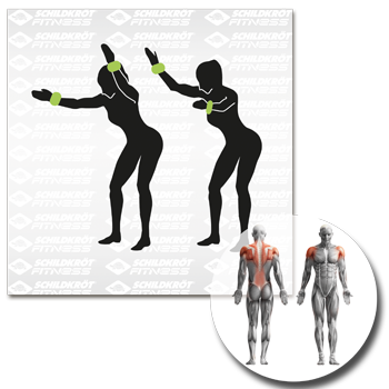 Schildkrot 960001 Wrist and Ankle Weights - main image