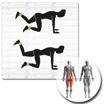 Schildkrot 960001 Wrist and Ankle Weights - main image