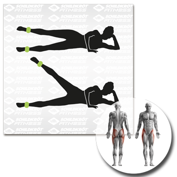 Schildkrot Wrist and Ankle Weights - 960002 - main image