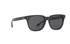 Polo Ralph Lauren PH4150 Grey Sunglasses
