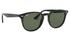 Ray-Ban RB4259 Black Sunglasses