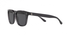 Polo Ralph Lauren PH4150 Grey Sunglasses