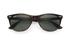 Ray-Ban Wayfarer II Classic Tortoise Sunglasses