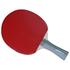 Gewo CS Bat Rave Action Table Tennis Bat