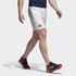 Adidas Men's Roland Garros Shorts - thumbnail image 4