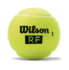 Wilson RF Legacy Tennis Balls 4 Ball Can