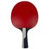 Butterfly Timo Boll Diamond Table Tennis Bat