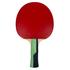 Butterfly Timo Boll Smaragd Table Tennis Bat - thumbnail image 3