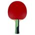 Butterfly Timo Boll Smaragd Table Tennis Bat