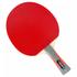 Gewo Carat ITTF Approved Table Tennis Bat