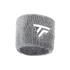 Tecnifibre Wristband 2 Pack Silver