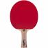 Atemi 3000 Table Tennis Bat