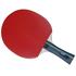 Gewo CS Bat Rave Game Table Tennis Bat