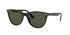 Ray-Ban Wayfarer II Classic Tortoise Sunglasses