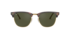 Ray-Ban Clubmaster RB3016 Tortoise Sunglasses - thumbnail image 4