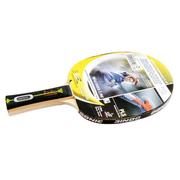 Schildkrot Waldner 500 Bat