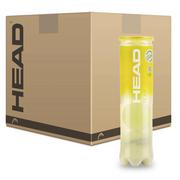HEAD Team Tennis Balls (4 Ball Can) 12 Dozen