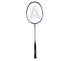 Ashaway Viper XT Sub Zero Badminton Racket